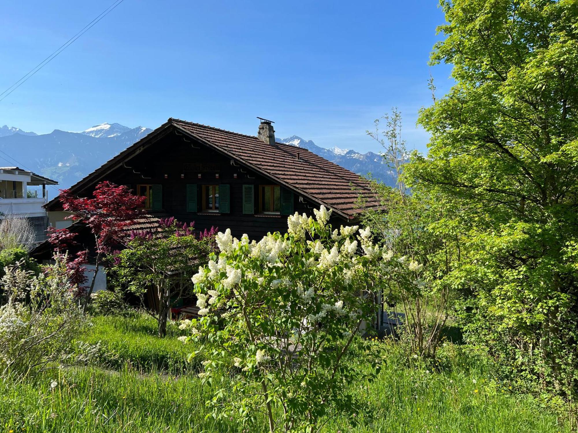 Chalet Friesli Beatenberg Exterior photo